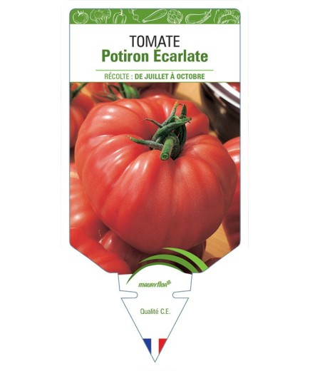 TOMATE POTIRON ÉCARLATE