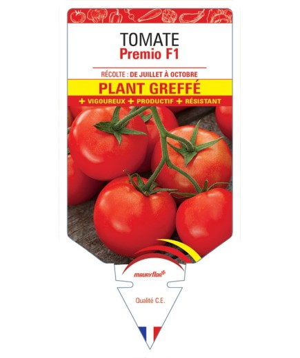 TOMATE PREMIO F1 PLANT GREFFÉ
