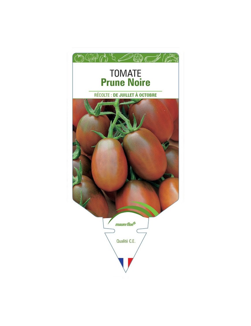 TOMATE PRUNE NOIRE