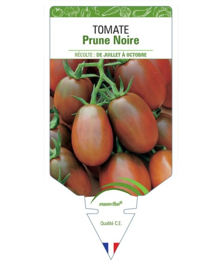 TOMATE PRUNE NOIRE