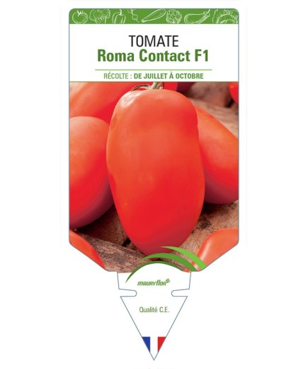 TOMATE ROMA CONTACT F1