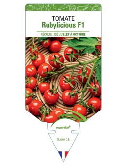 TOMATE RUBYLICIOUS F1