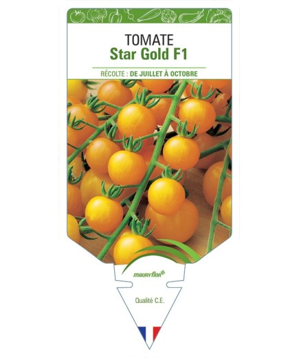 TOMATE STAR GOLD F1
