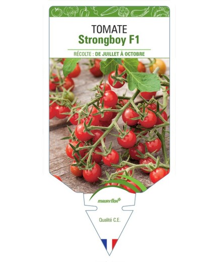 TOMATE STRONGBOY F1