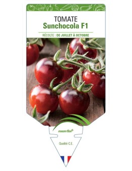 TOMATE SUNCHOCOLA F1