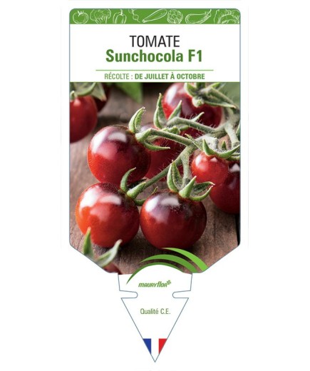 TOMATE SUNCHOCOLA F1