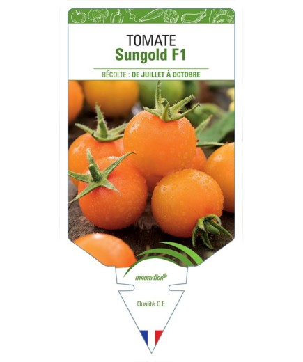 TOMATE SUNGOLD F1