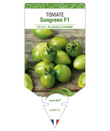TOMATE SUNGREEN F1