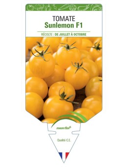TOMATE SUNLEMON F1
