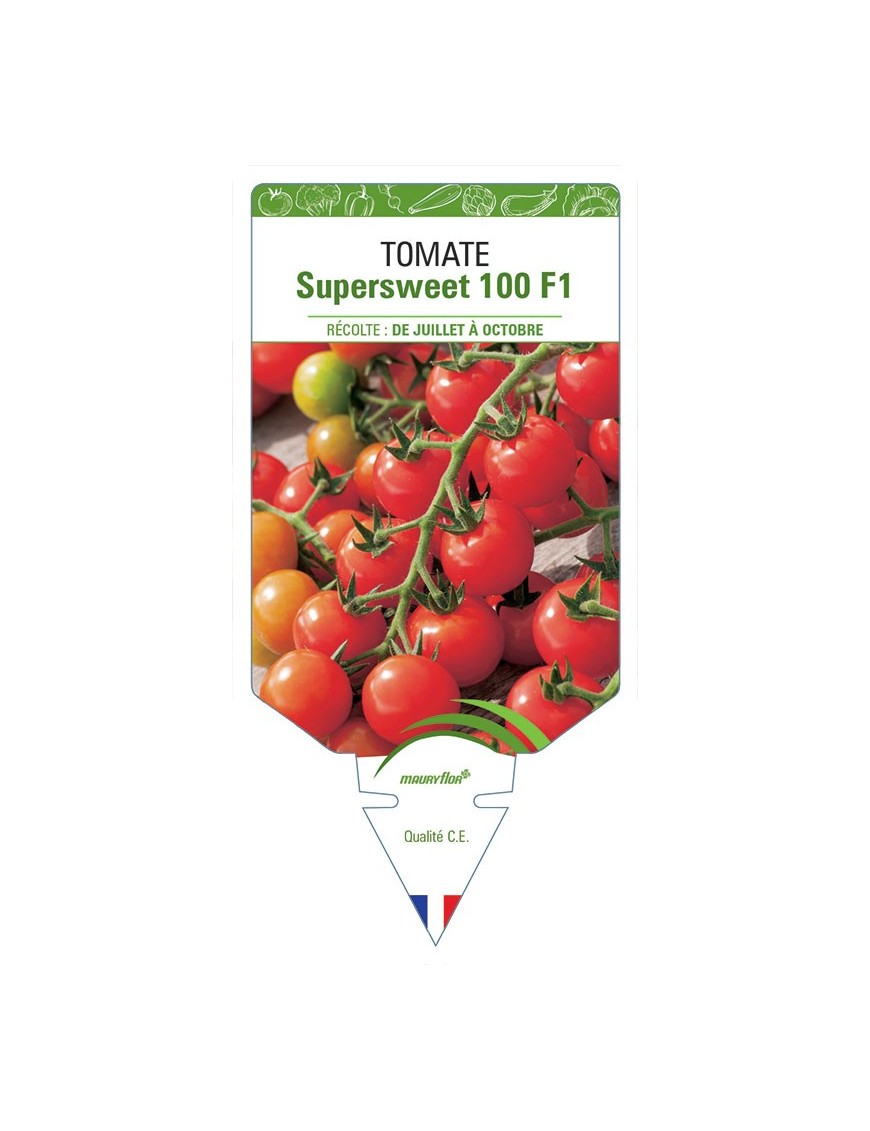 TOMATE SUPERSWEET 100 F1