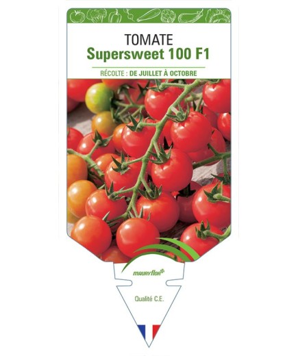 TOMATE SUPERSWEET 100 F1