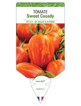 TOMATE SWEET CASADY