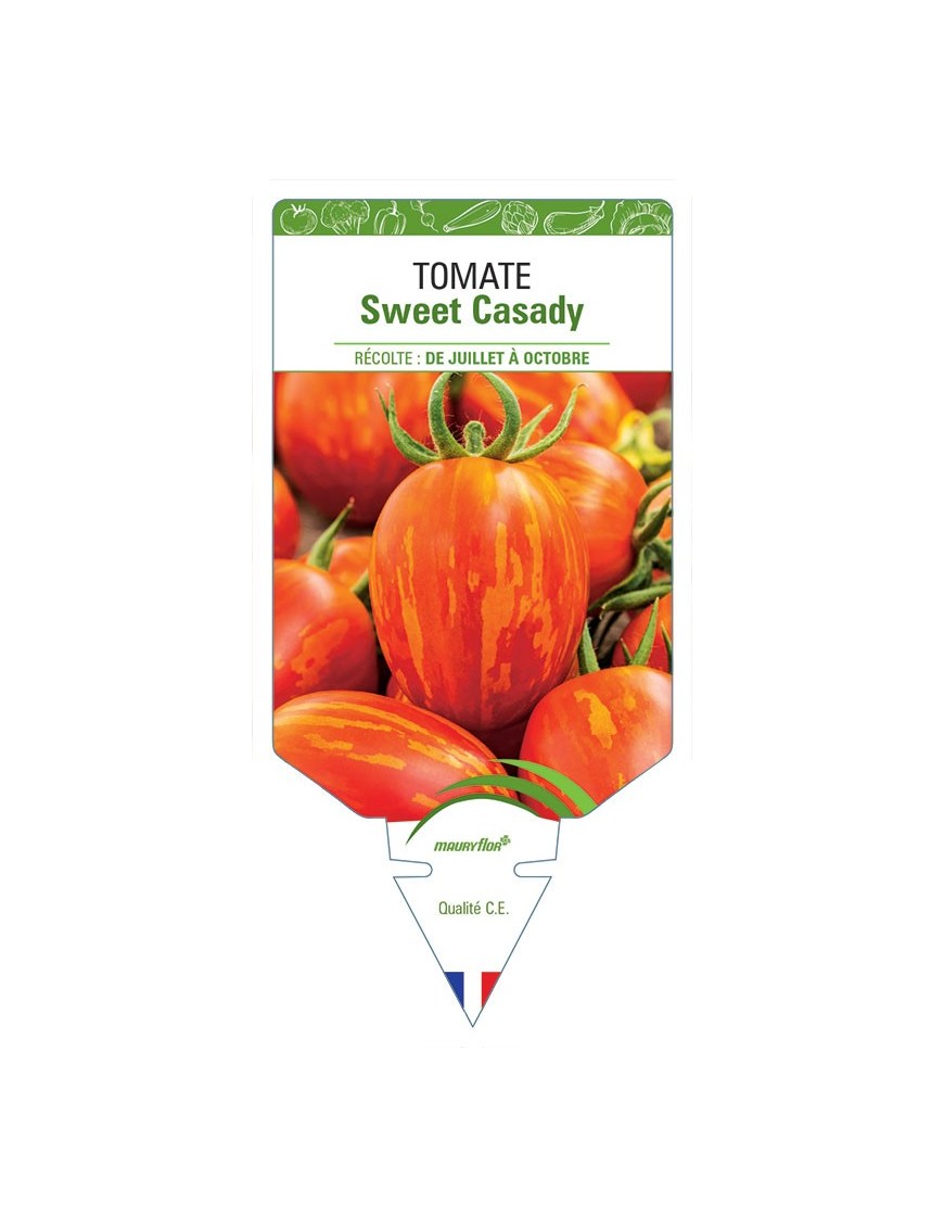 TOMATE SWEET CASADY