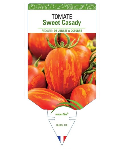 TOMATE SWEET CASADY