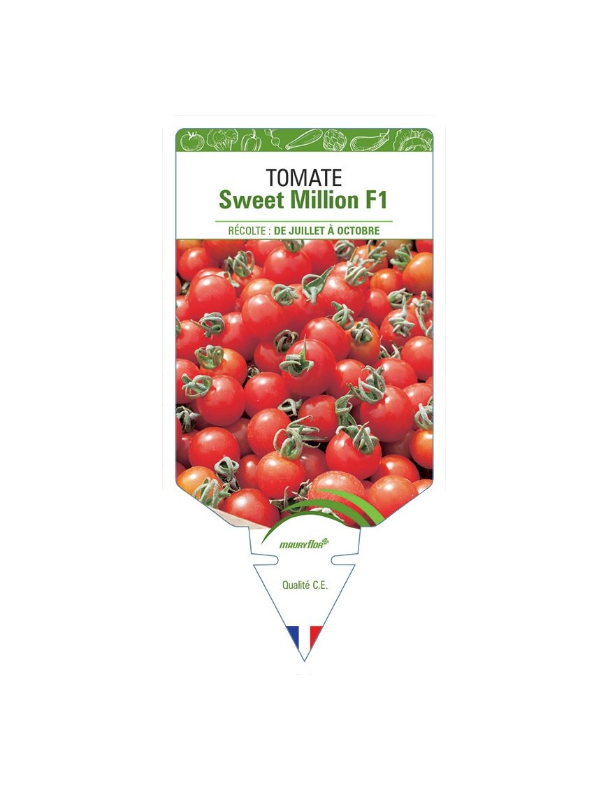TOMATE SWEET MILLION F1