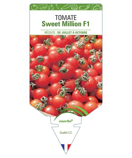 TOMATE SWEET MILLION F1