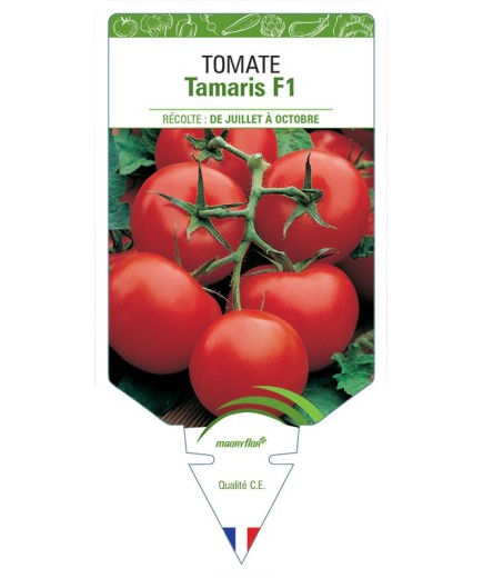 TOMATE TAMARIS F1