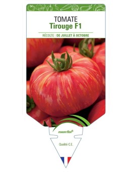 TOMATE TIROUGE F1