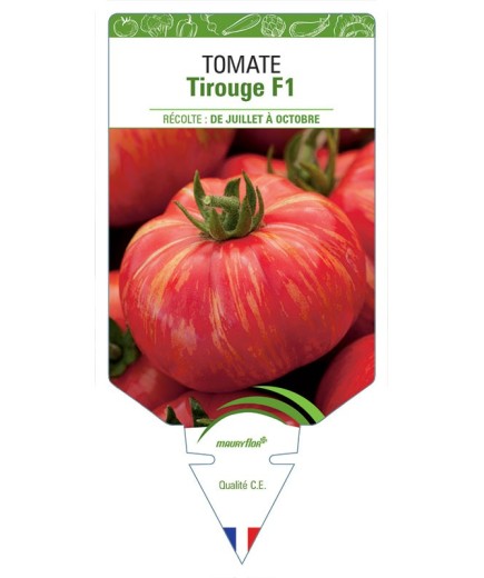 TOMATE TIROUGE F1