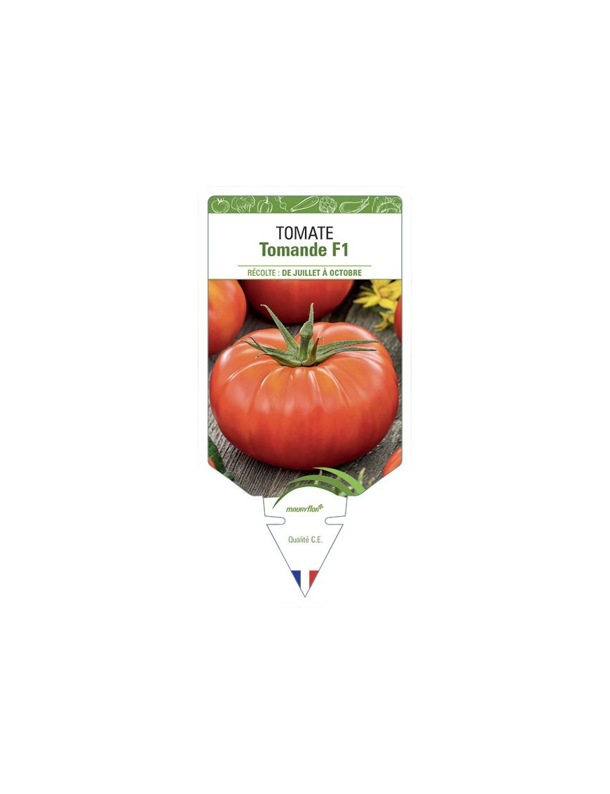 TOMATE TOMANDE F1