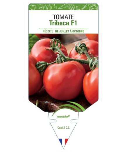 TOMATE TRIBECA F1