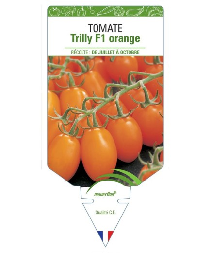 TOMATE TRILLY F1 ORANGE