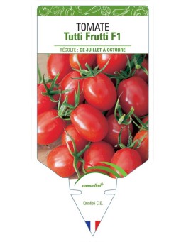 TOMATE TUTTI FRUTTI F1