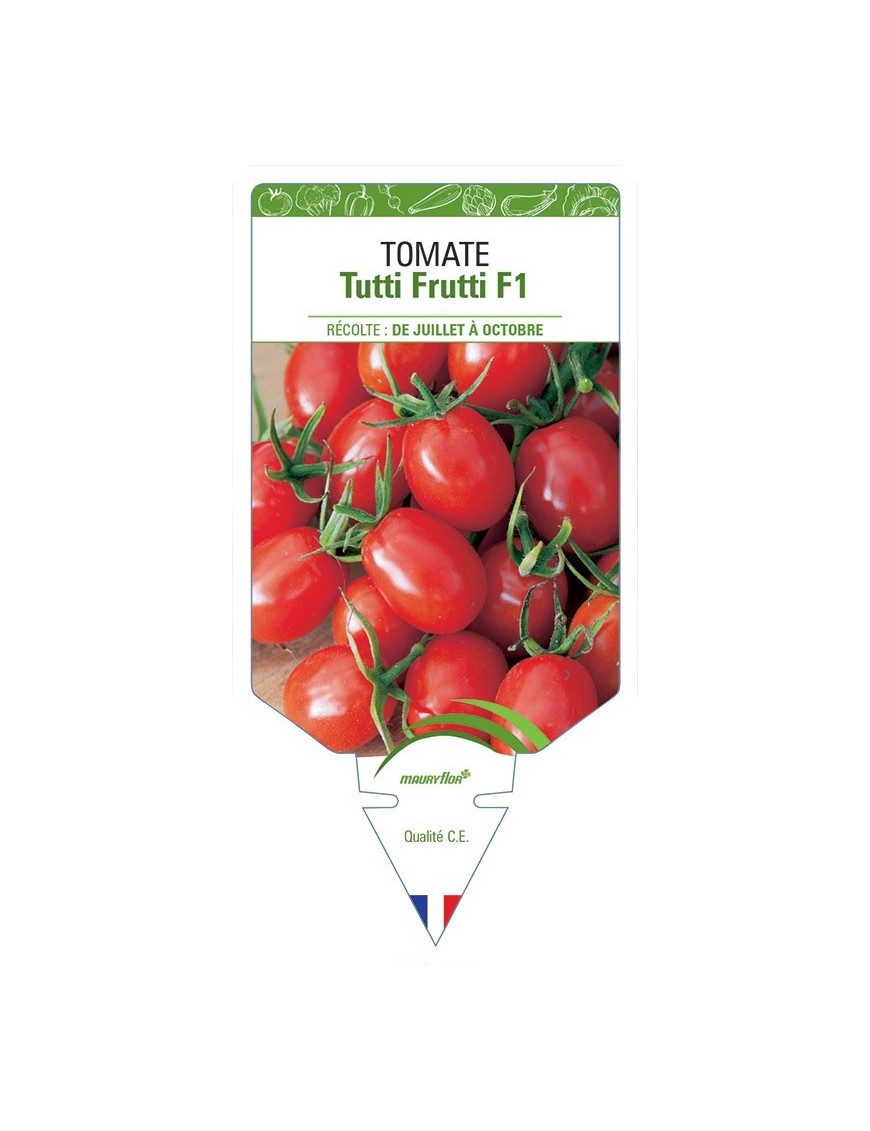 TOMATE TUTTI FRUTTI F1