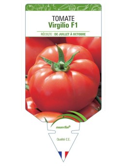 TOMATE VIRGILIO F1