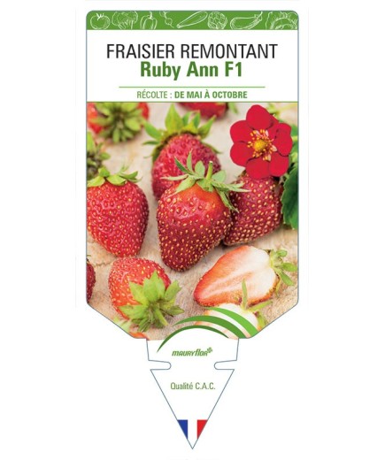 FRAISIER RUBY ANN F1