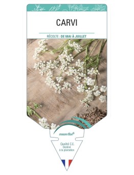 CARVI