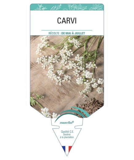 CARVI