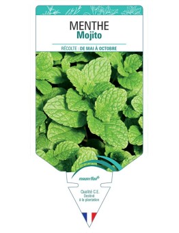 MENTHE MOJITO