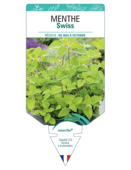 MENTHE SWISS