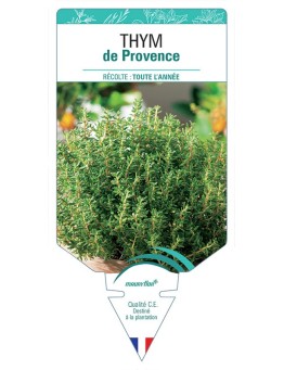 THYM DE PROVENCE