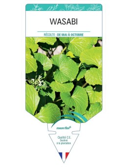 WASABI