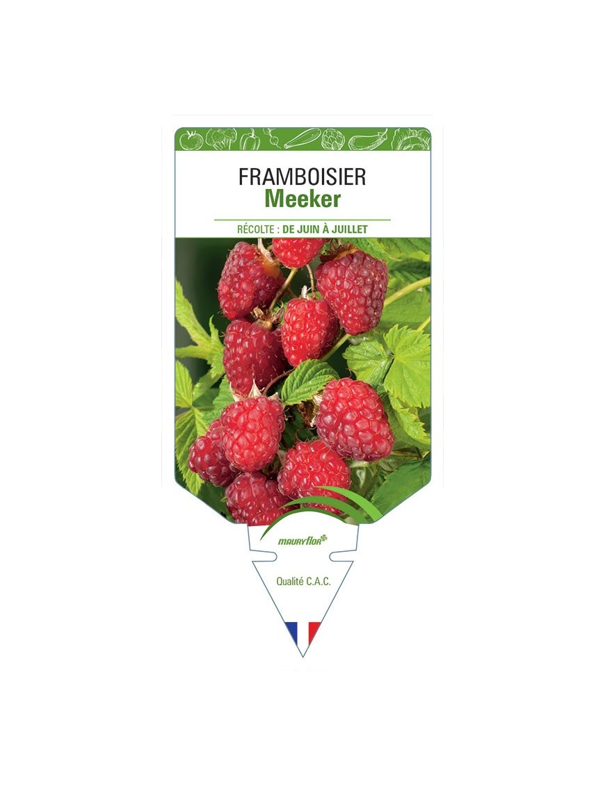 FRAMBOISIER MEEKER