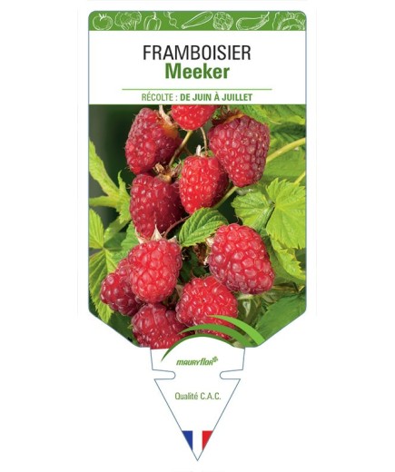 FRAMBOISIER MEEKER