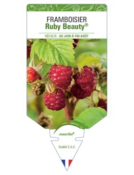 FRAMBOISIER RUBY BEAUTY®