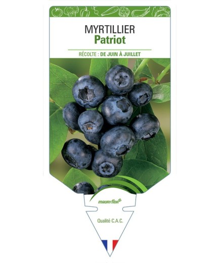 MYRTILLIER PATRIOT