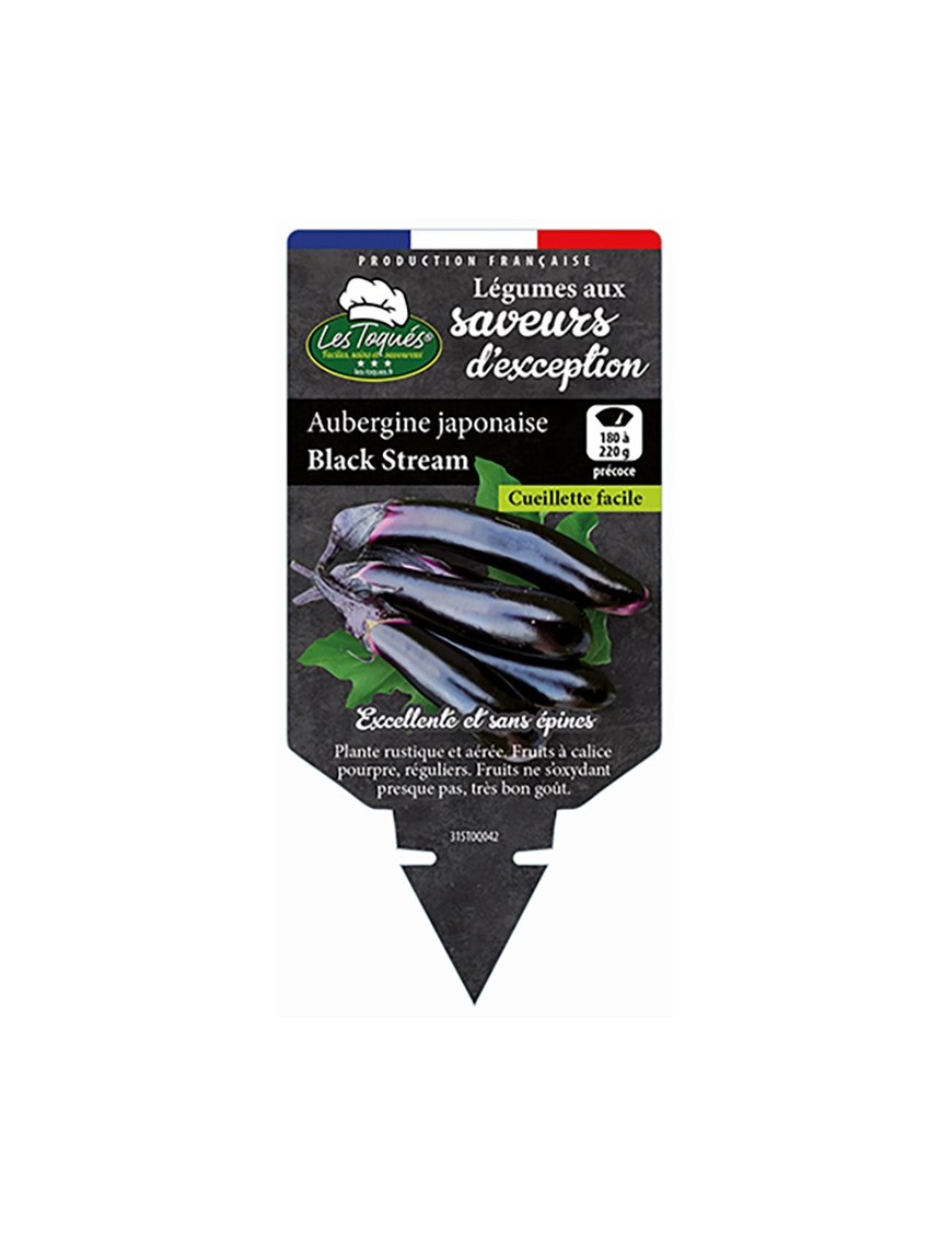 AUBERGINE JAPONAISE BLACK STREAM