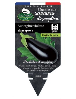 AUBERGINE VIOLETTE SHARAPOVA