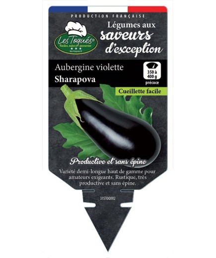AUBERGINE VIOLETTE SHARAPOVA