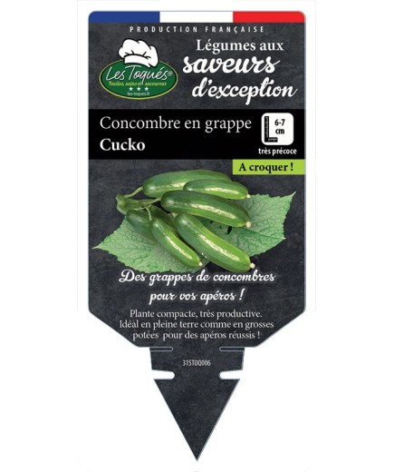 CONCOMBRE EN GRAPPE CUCKO