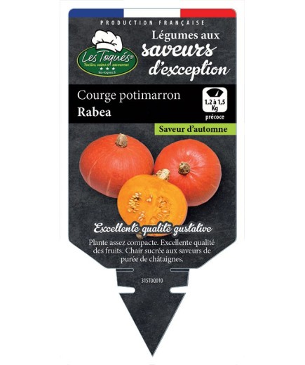 COURGE POTIMARRON RABEA