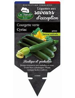 COURGETTE VERTE CYRIAC