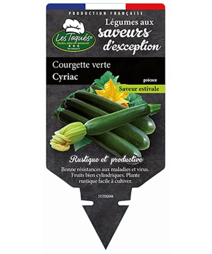 COURGETTE VERTE CYRIAC