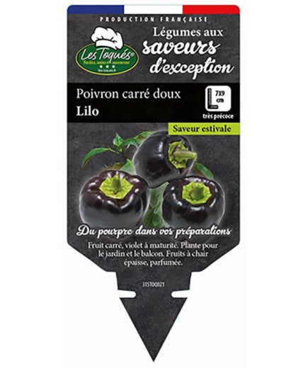 POIVRON CARRÉ DOUX LILO