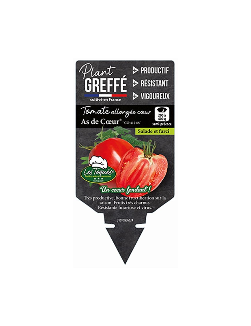 TOMATE ALLONGÉE CŒUR AS DE CŒUR® (CO 412 88) PLANT GREFFÉ