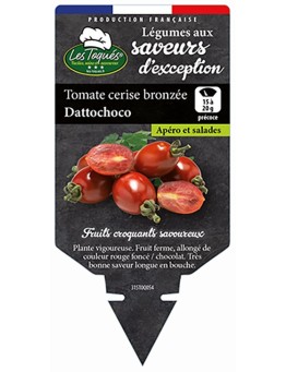 TOMATE CERISE BRONZÉE DATTOCHOCO